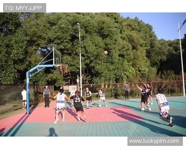 广州网球队的拼搏历程与荣耀时刻全景回顾