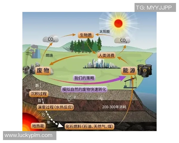 数据分析揭示上海排球队团队协作表现的关键因素与提升策略 数据分析揭示上海排球队团队协作表现的关键因素与提升策略