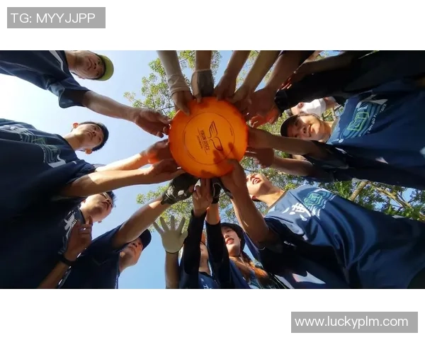 武汉飞盘队比赛经验深度对比及其对未来发展的启示分析