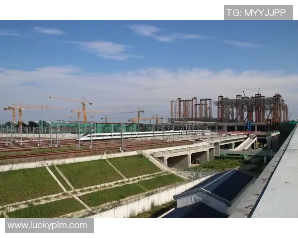 重庆排球队的奋斗之路:从默默无闻到奥运舞台的辉煌历程 重庆排球队的奋斗之路:从默默无闻到奥运舞台的辉煌历程