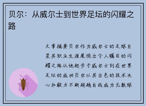 贝尔：从威尔士到世界足坛的闪耀之路