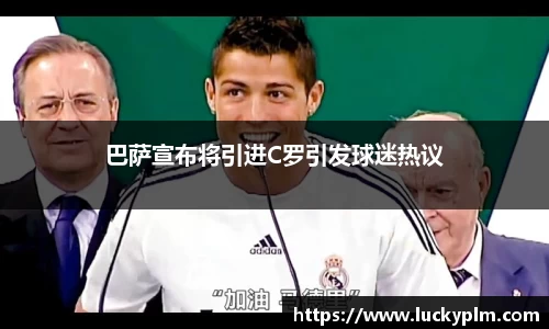 Bsports必一体育