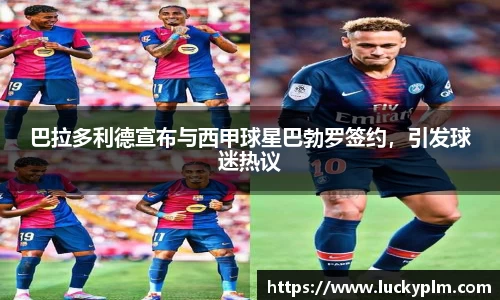 Bsports体育