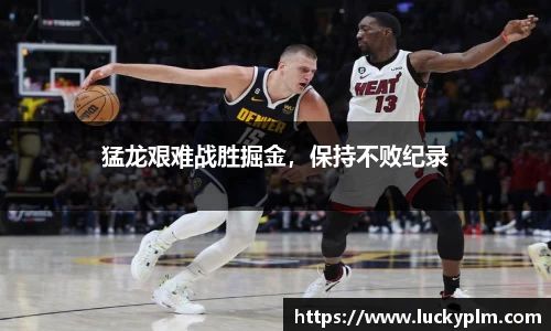 Bsports体育