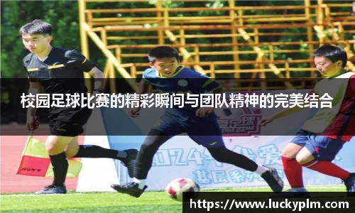 Bsports体育