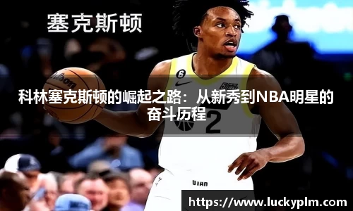 Bsports必一体育