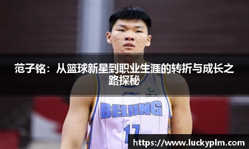 Bsports·必一(中国)体育-官方网站