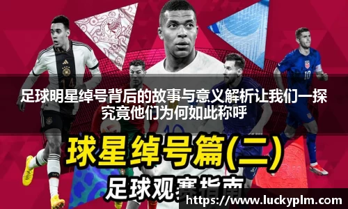 Bsports体育