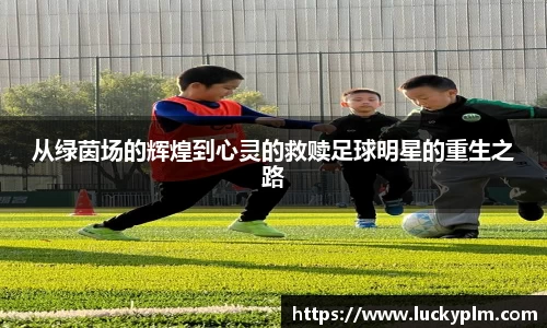 从绿茵场的辉煌到心灵的救赎足球明星的重生之路